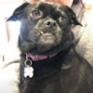 Meet your Posher, Kathy